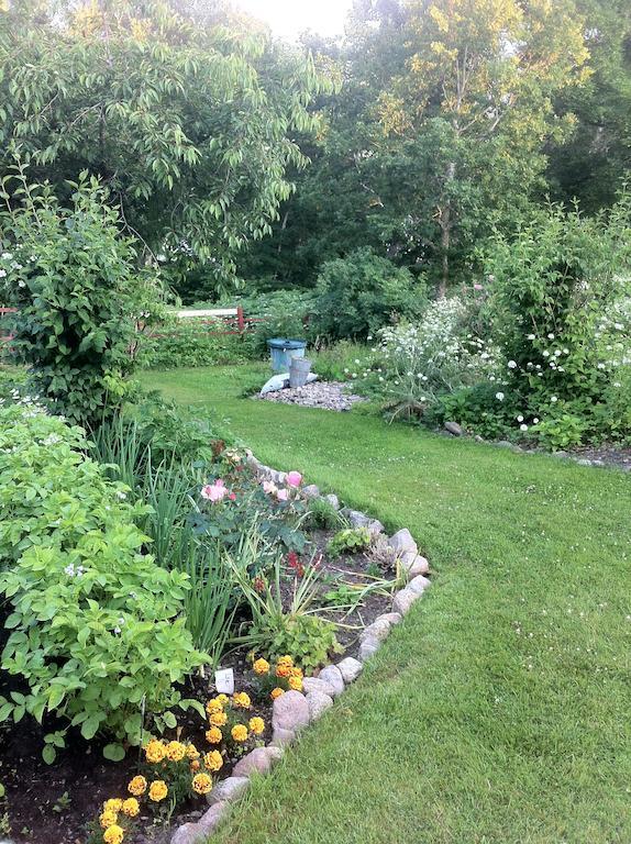 Sparrens Bed And Breakfast Fiskesa Room photo